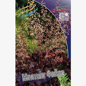 ГЕЙХЕРА МЕЛТИНГ ФАЙЕР