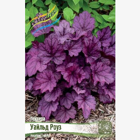 ГЕЙХЕРА УАЙЛЬД РОУЗ