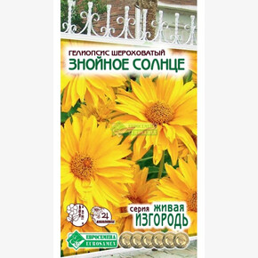 Гелиопсис шероховатый Знойное Солнце/ Евросемена