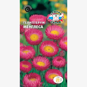 Гелиптерум Менглеса/ Седек