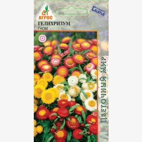 Гелихризум Гном 0.3г*сух