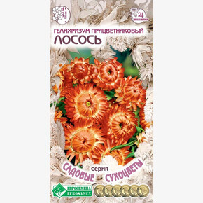 Гелихризум ЛОСОСЬ прицветниковый 0,1 гр/ Евросемена