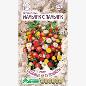 Гелихризум МАЛЬЧИК С ПАЛЬЧИК (0,1 гр)/ Евросемена