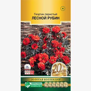 Георгин Лесной Рубин 5шт/ Евросемена