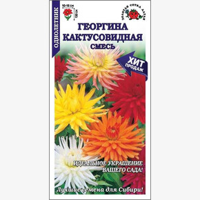 Георгина / Сотка