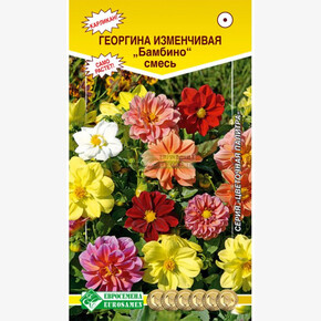 Георгина БАМБИНО изменчивая, смесь (0,1 гр)/ Евросемена