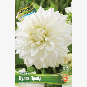 Георгина Буллз Прайд