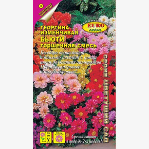 Георгина Бьюти горшечная смесь 0,2г/ Аэлита Экстра