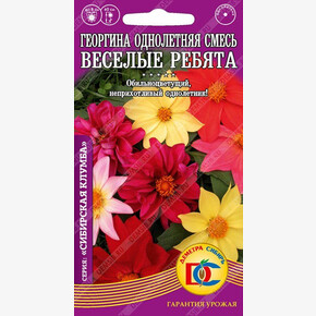 Георгина Веселые ребята /Деметра 0,2гр