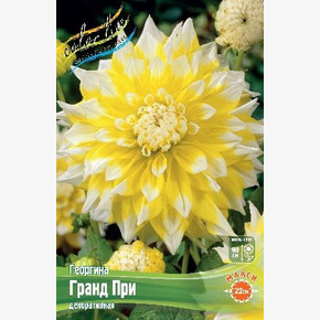 Георгина Гранд При