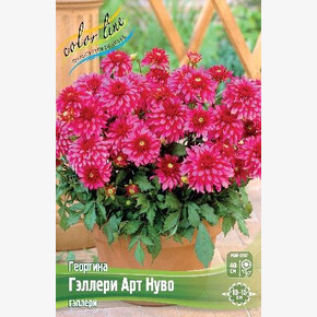 ГЕОРГИНА ГЭЛЛЕРИ АРТ НУВО