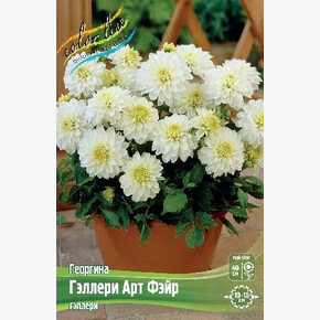 ГЕОРГИНА ГЭЛЛЕРИ АРТ ФЭЙР