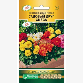 Георгина Друг смесь/ Евросемена