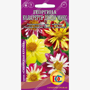 Георгина Коларетте Дэнди микс / 0,1 гр Дем Сиб/