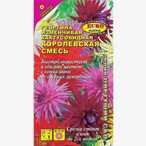 Георгина Королевская смесь/ Аэлита