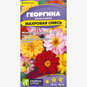 Георгина Махровая смесь окрасок/ Семена Алтая 0,2 гр.