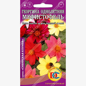 Георгина Мефистофель /0,1 гр Деметра/