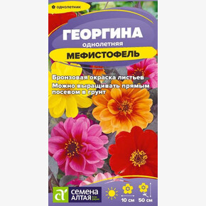 Георгина Мефистофель/ Семена Алтая 0,2 гр.