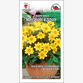 Георгина Мигнон Еллоу /Сотка/ 0,2г