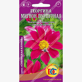 Георгина Мигнон Желтая /0,1 гр Деметра/