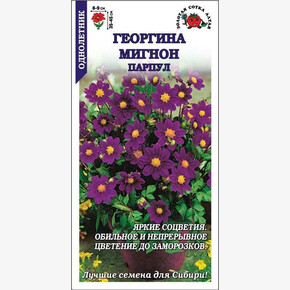 Георгина Мигнон Парпул /Сотка/ 0,2г