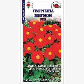 Георгина Мигнон Ред /Сотка/ 0,2г