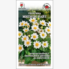Георгина Мигнон Уайт /Сотка/ 0,2г