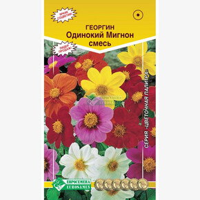 Георгина ОДИНОКИЙ МИГНОН смесь (0,2 гр)/ Евросемена
