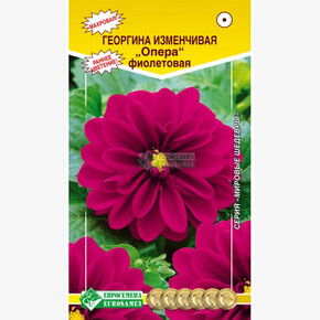 Георгина ОПЕРА , фиолетовая 10 шт/ Евросемена