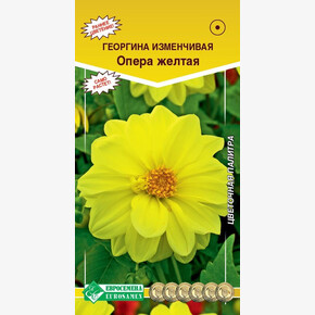Георгина ОПЕРА изменчивая,желтая (10 шт)/ Евросемена