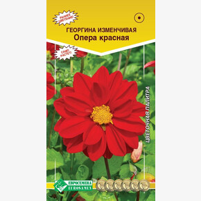 Георгина ОПЕРА изменчивая,красная (10 шт)/ Евросемена