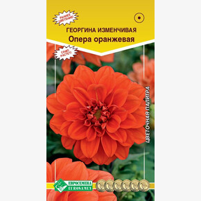 Георгина ОПЕРА оранжевая 10 шт/ Евросемена