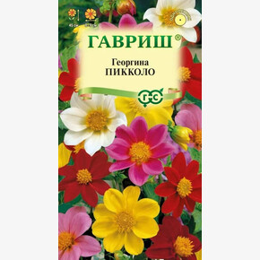 Георгина Пикколо/ Гавриш