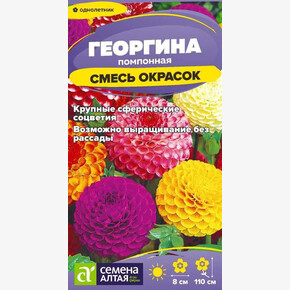 Георгина Помпонная смесь/ Семена Алтая 0,2 гр.
