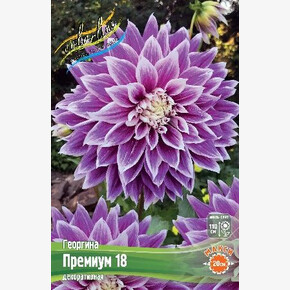 Георгина Премиум 18