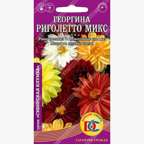 Георгина Риголетто Микс махровая /0,1 гр Дем Сиб/