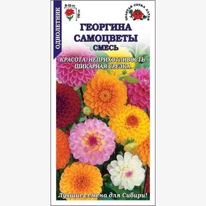 Георгина Самоцветы/ Сотка