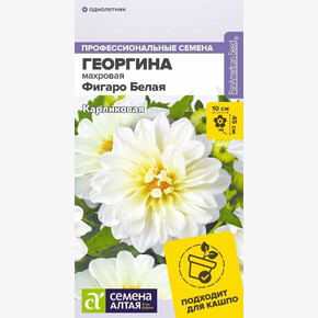 Георгина Фигаро Белая махровая/Семена Алтая/цп 5 шт. 2028 / 31840