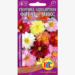 Георгина Фигаро микс однолетняя /0,1 гр Деметра/
