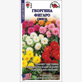 Георгина Фигаро смесь /Сотка/ 7 шт
