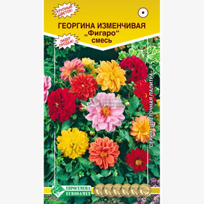 Георгина ФИГАРО,смесь (0,3гр)/ Евросемена