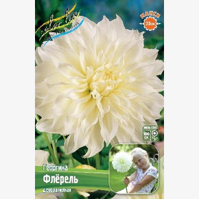 Георгина Флёрель