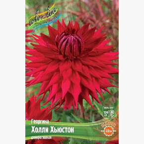 Георгина Холли Хьюстон