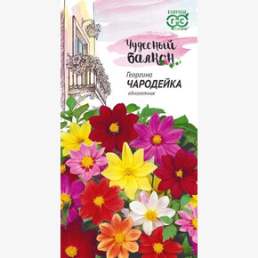 Георгина Чародейка смесь/ Гавриш