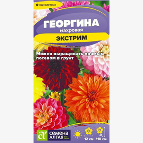Георгина Экстрим/ Семена Алтая