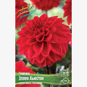 ГЕОРГИНА ЭЛЛЕН ХЬЮСТОН