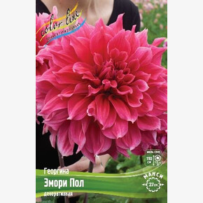 Георгина Эмори Пол