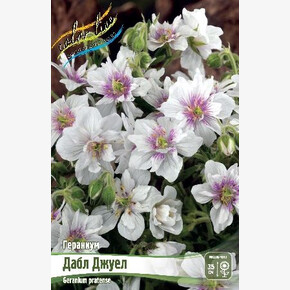 Гераниум Дабл Джуел (pratense)