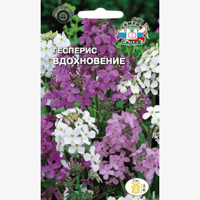 Гесперис Вдохновение/ Седек