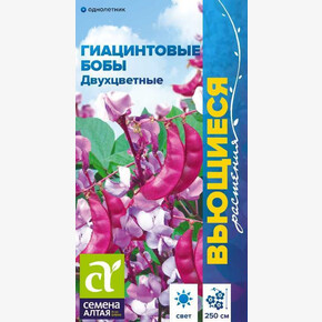 Гиацинтовые бобы Двухцветные/ Семена Алтая